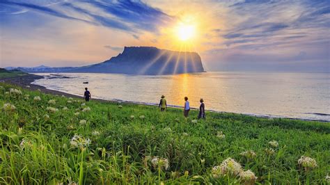 Moonlight Walk: A Serene Journey Through the Soul of Jeju Island: Exploring the depths of Korean spirituality and nature's captivating beauty