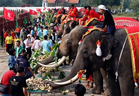  Year of the Elephant - Een epische reis door de Thaise cultuur